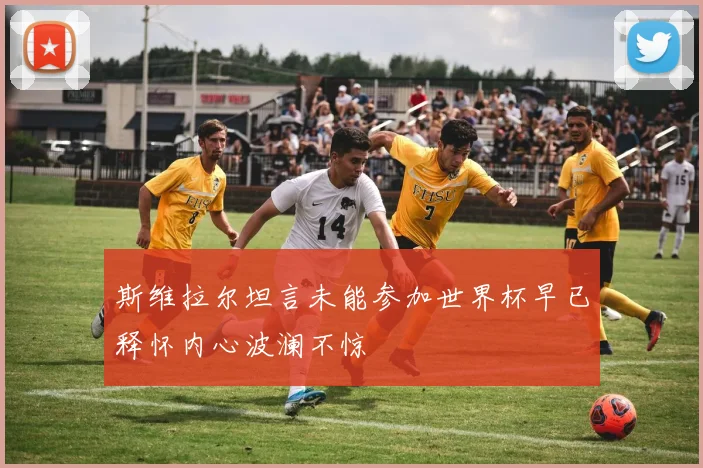 斯维拉尔坦言未能参加世界杯早已释怀内心波澜不惊
